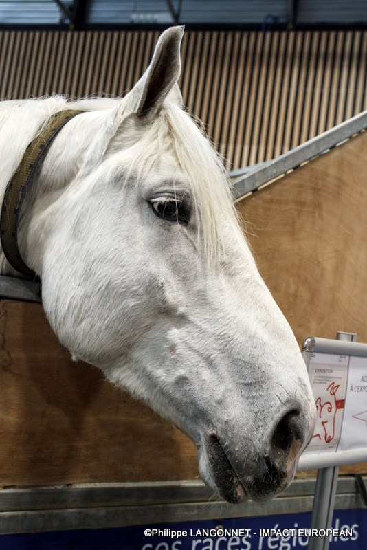 Photographie de Philippe Langonnet