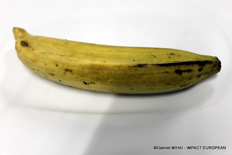 Restaurant Bana Lounge 1