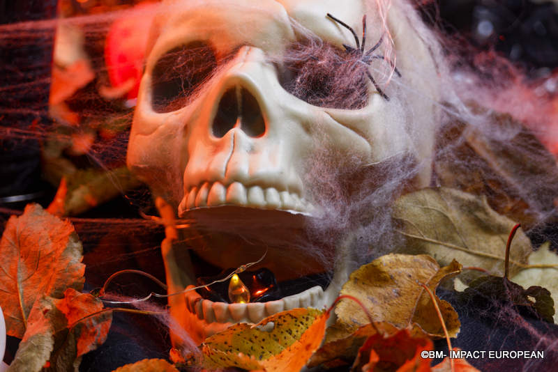 Salon de la photo 2024 005