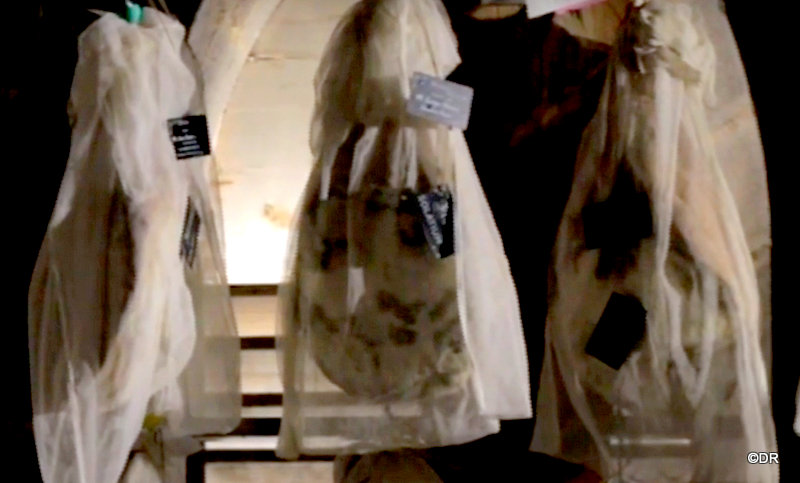 Capture plein écran 16112024 110121