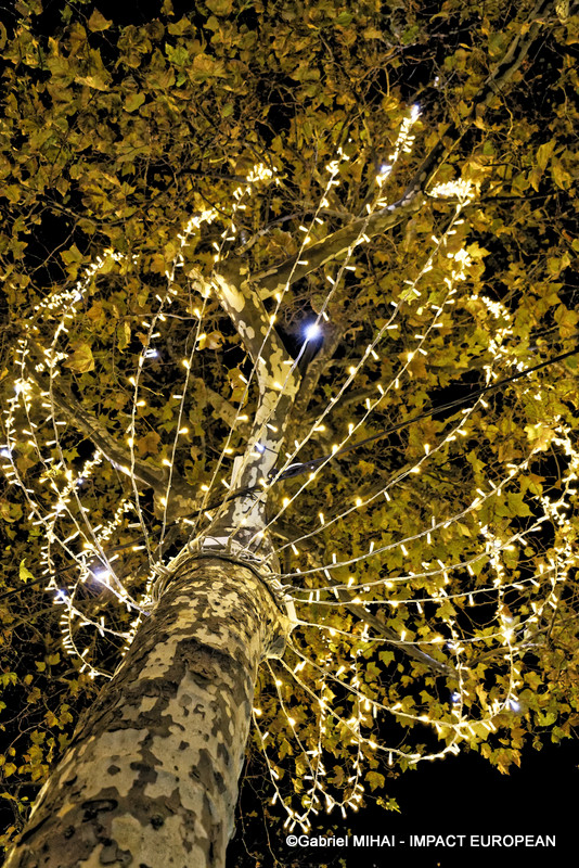 IMG_5222illuminations CE2024