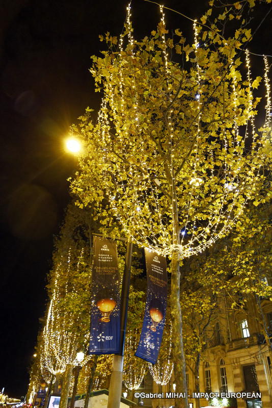 IMG_5230illuminations CE2024