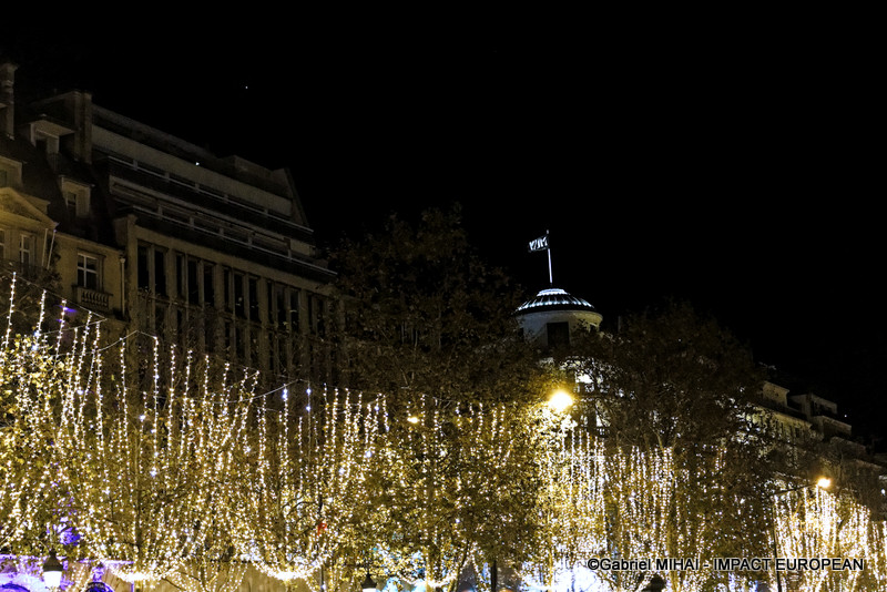 IMG_5231illuminations CE2024