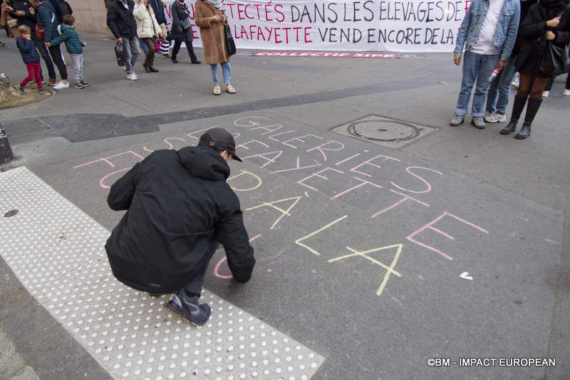 Manif antifourrure 004