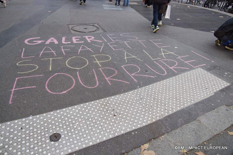 Manif antifourrure 005