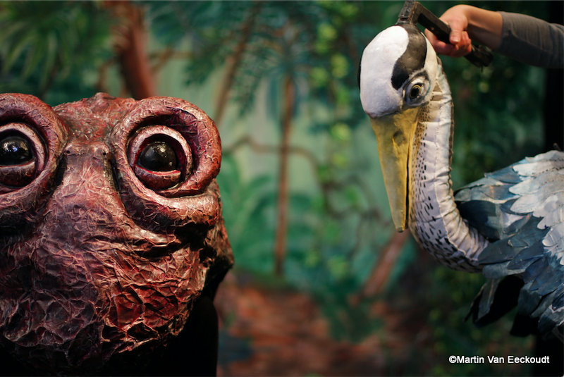 Credit Martin Van Eeckoudt 2