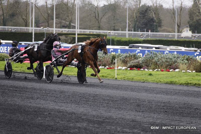 Prix d’Amérique 2025 039