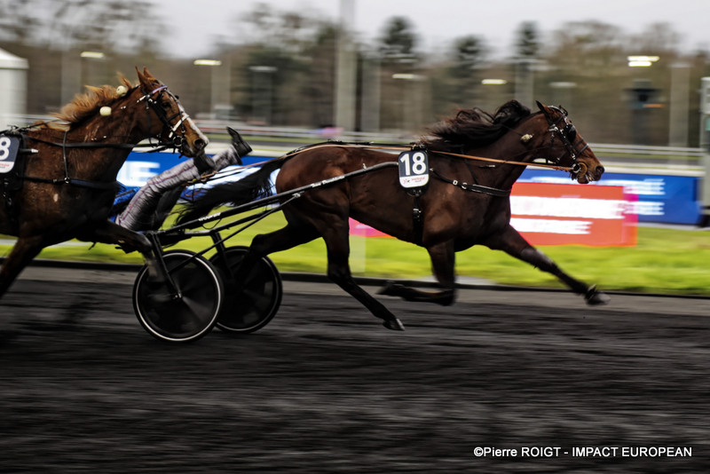 Prix d’Amérique Legend Race 38