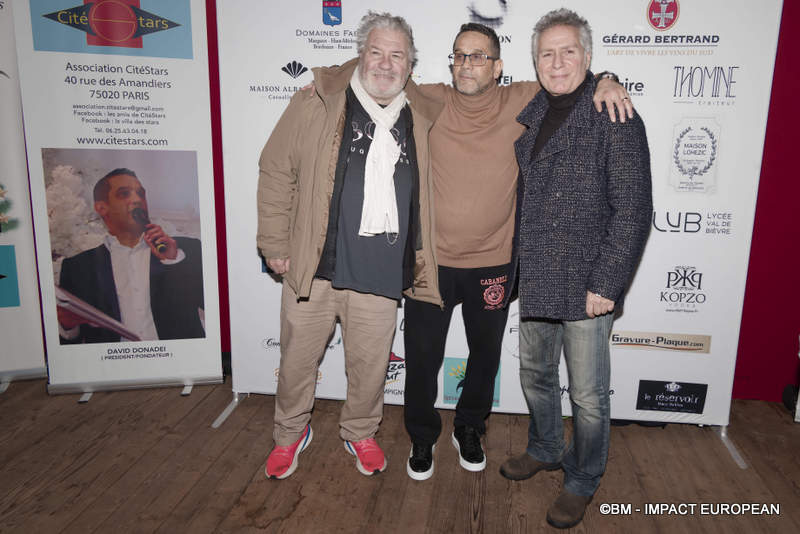 Sapin de Noël CitéStars 006