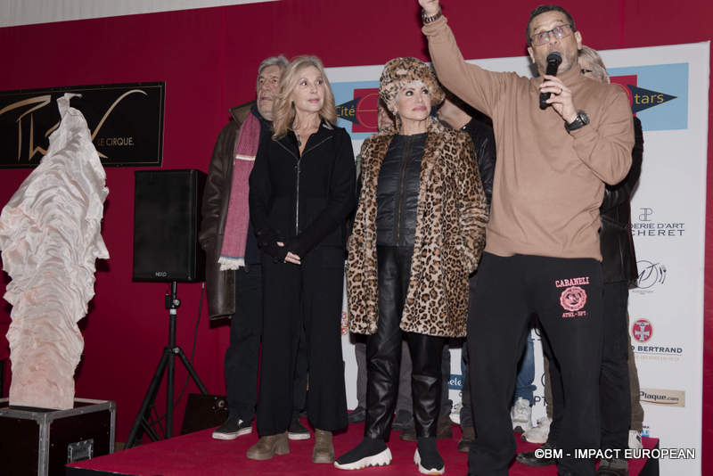 Sapin de Noël CitéStars 012