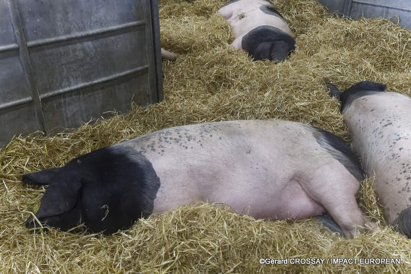 61e édition du Salon international de l’agriculture