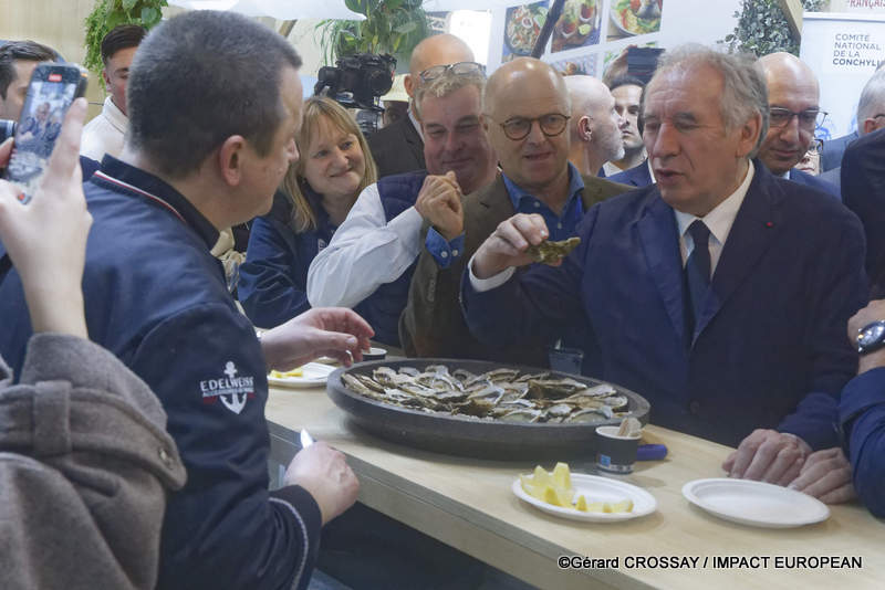 François Bayrou, le Premier ministre français