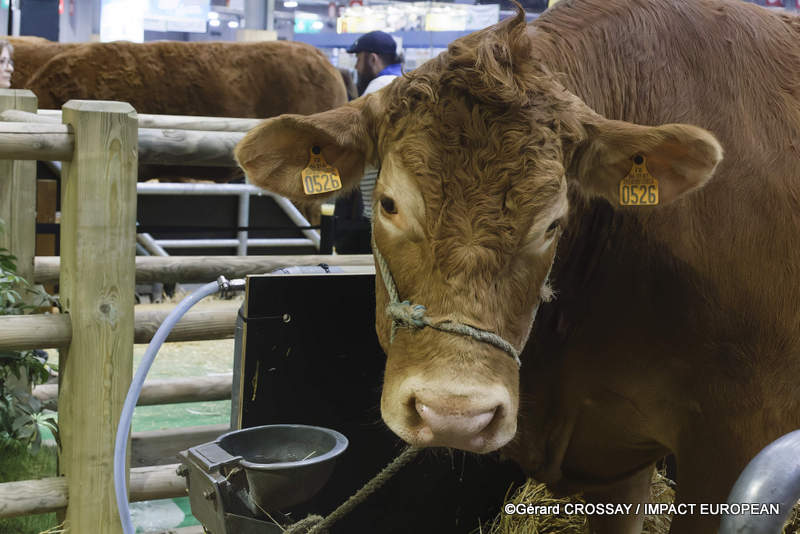 Oupette est la star de la 61e édition du Salon international de l’agriculture