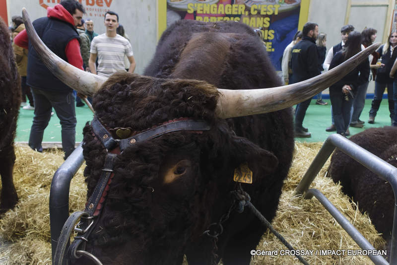 61e édition du Salon international de l’agriculture