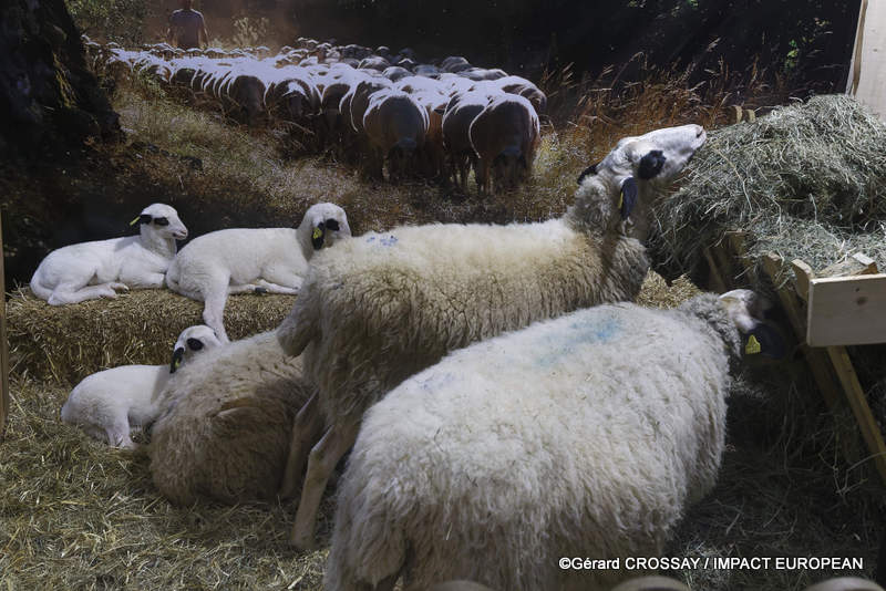 61e édition du Salon international de l’agriculture