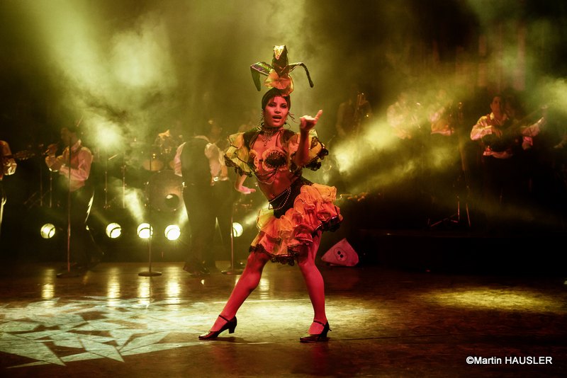 Pasion de Buena vista ©martinhausler (10)