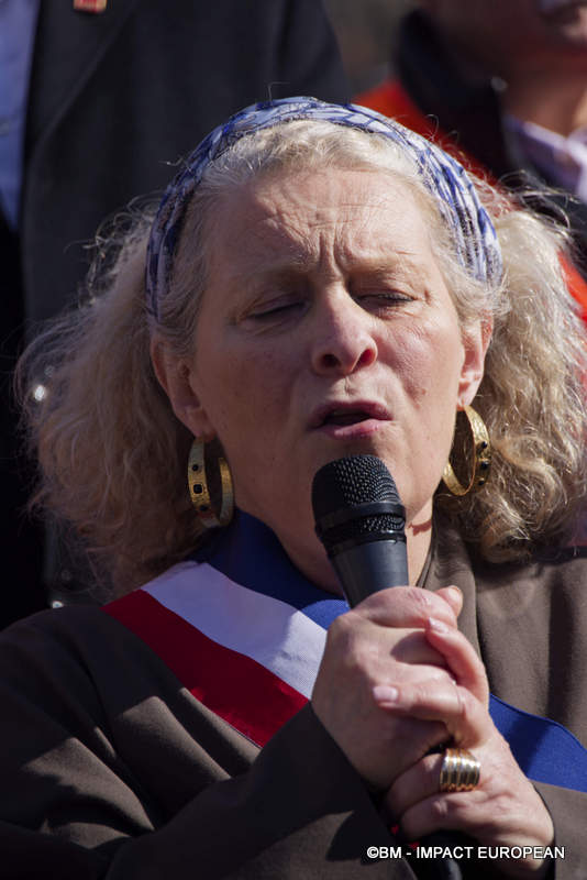 Rassemblement contre Erdogan 010