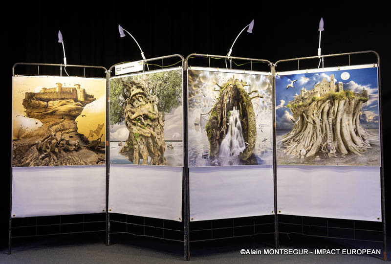 Tableaux de Bruno Beghin ( décédé le 30 mars 2025 )