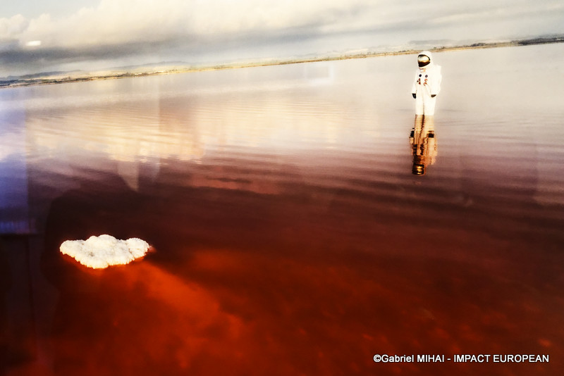 IMG_5877Expo Welcome to Earth