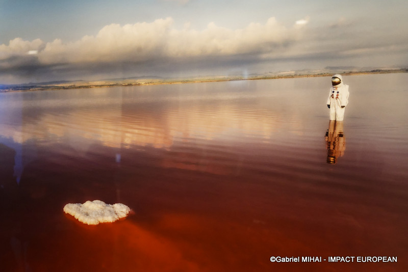 IMG_5878Expo Welcome to Earth