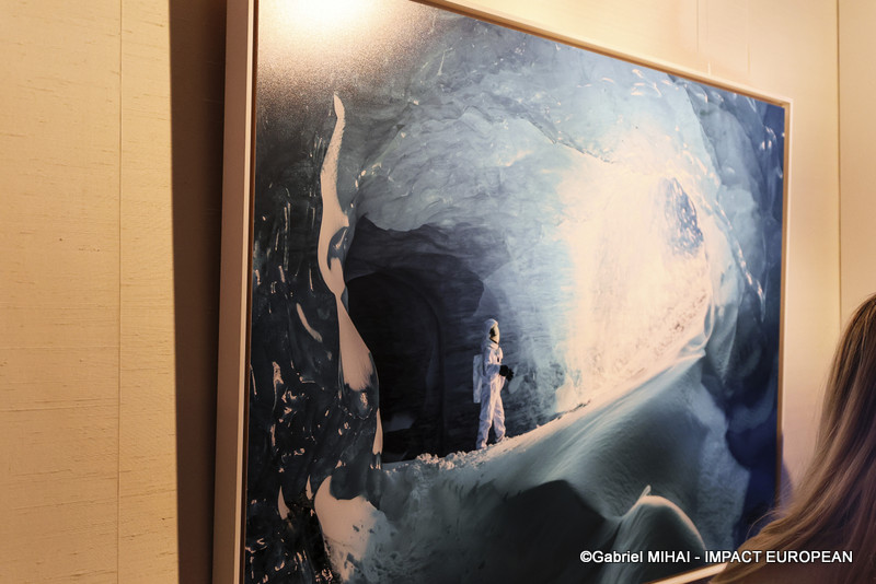 IMG_5885Expo Welcome to Earth