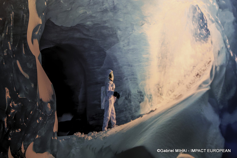 IMG_5887Expo Welcome to Earth