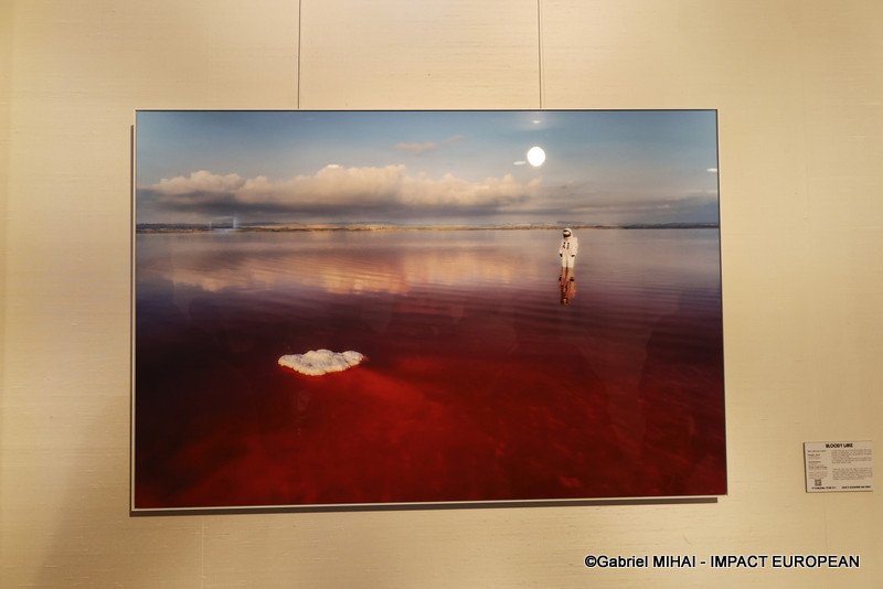 IMG_5909Expo Welcome to Earth