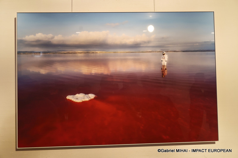 IMG_5910Expo Welcome to Earth