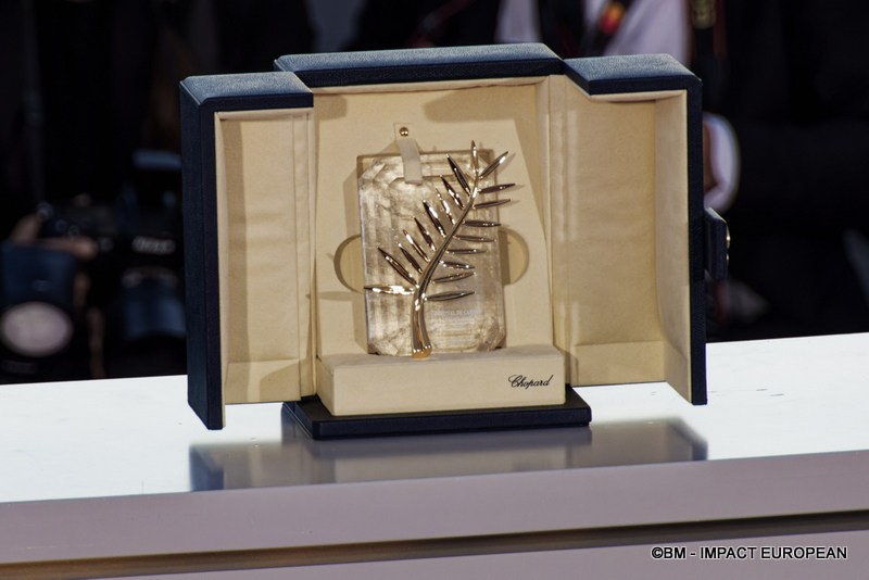 Photocall palmes 0023