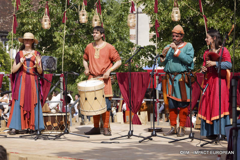 Les Medievales de Provins 006