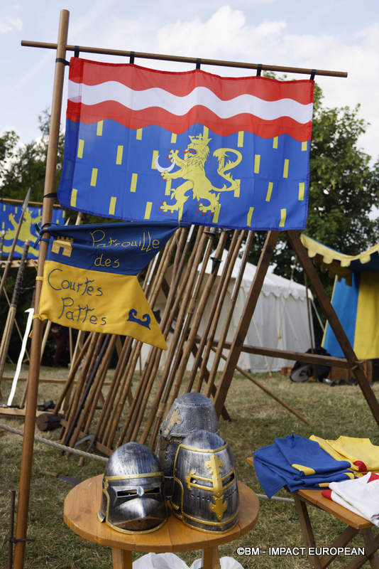 Les Medievales de Provins 013