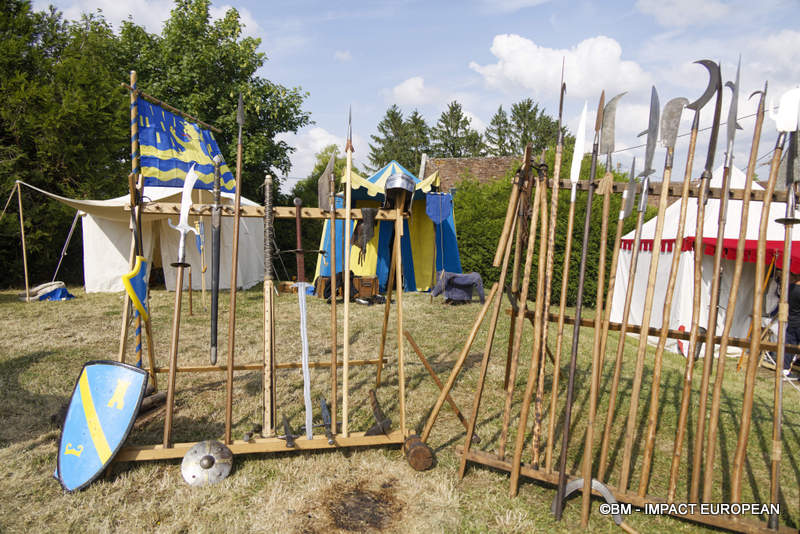 Les Medievales de Provins 016