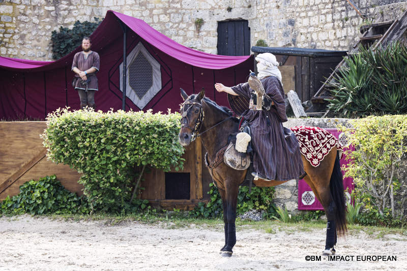 Les Medievales de Provins 028