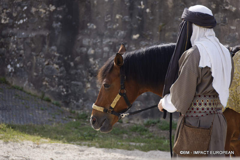 Les Medievales de Provins 029