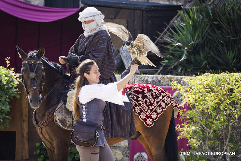 Les Medievales de Provins 030