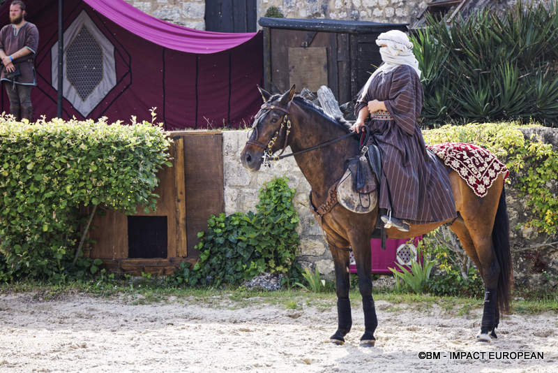 Les Medievales de Provins 032