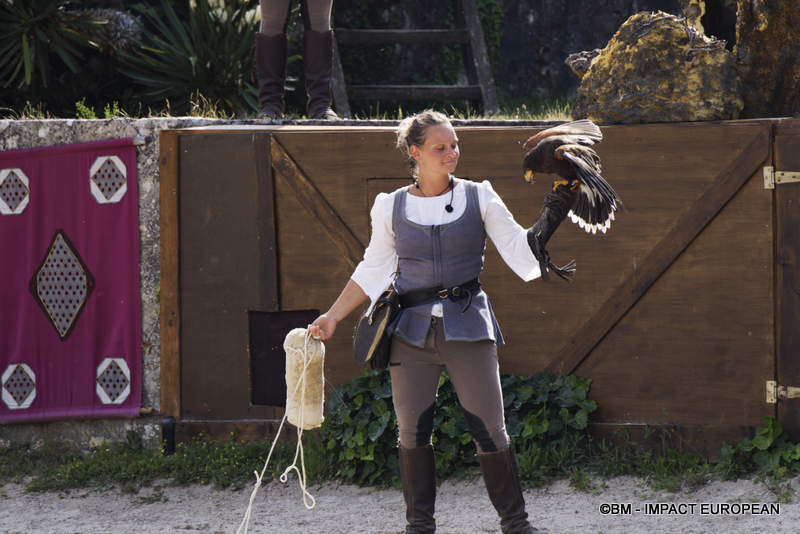 Les Medievales de Provins 033