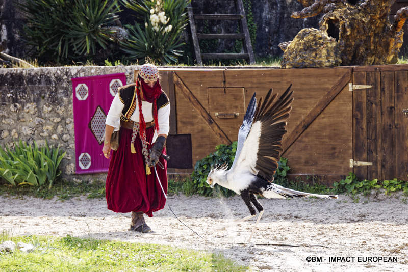 Les Medievales de Provins 034