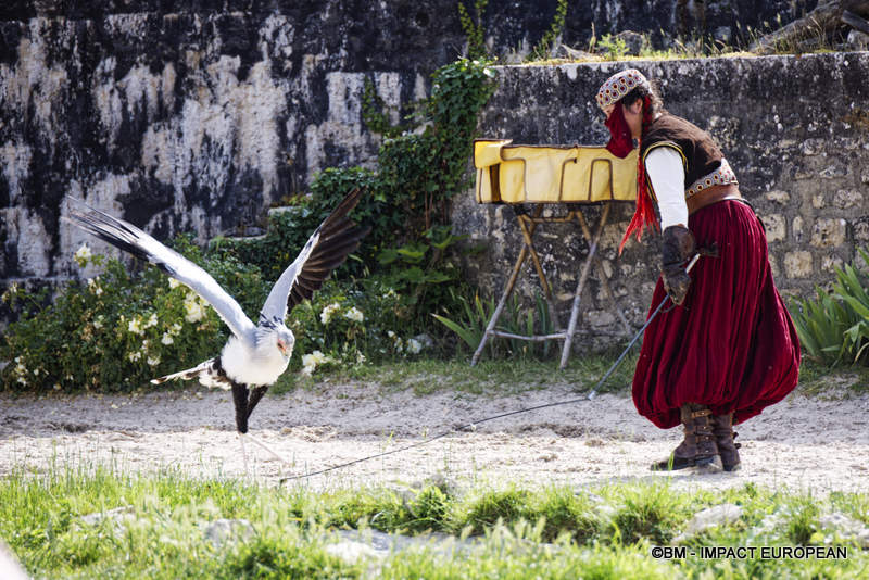 Les Medievales de Provins 035