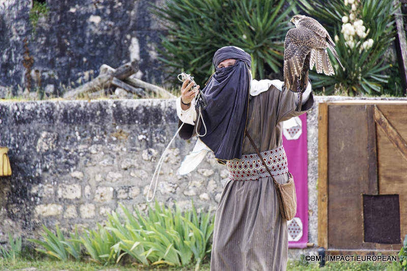 Les Medievales de Provins 036