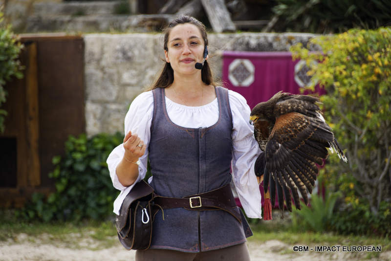 Les Medievales de Provins 037