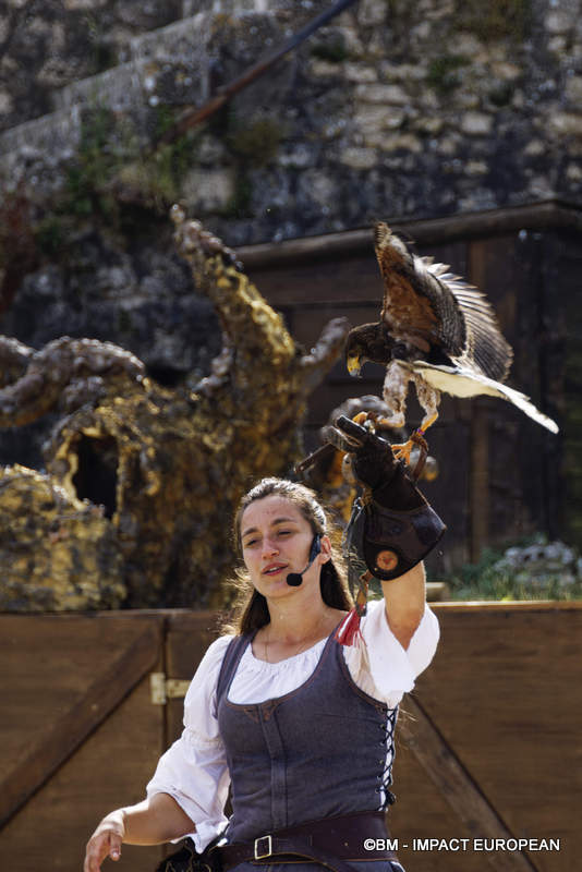 Les Medievales de Provins 038