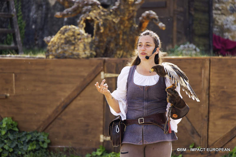 Les Medievales de Provins 039