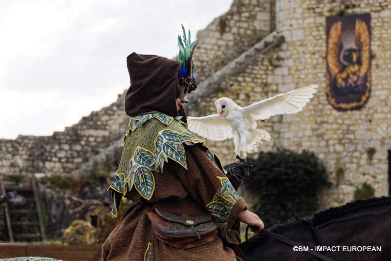 Les Medievales de Provins 041