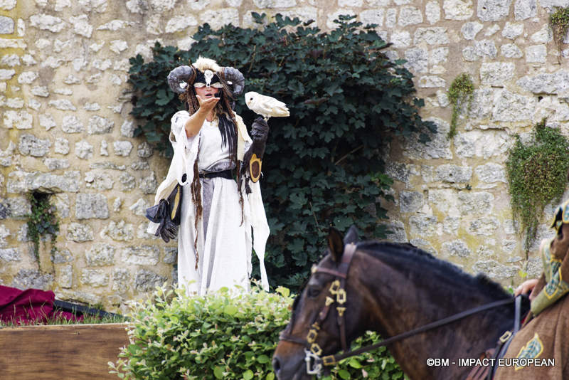 Les Medievales de Provins 042