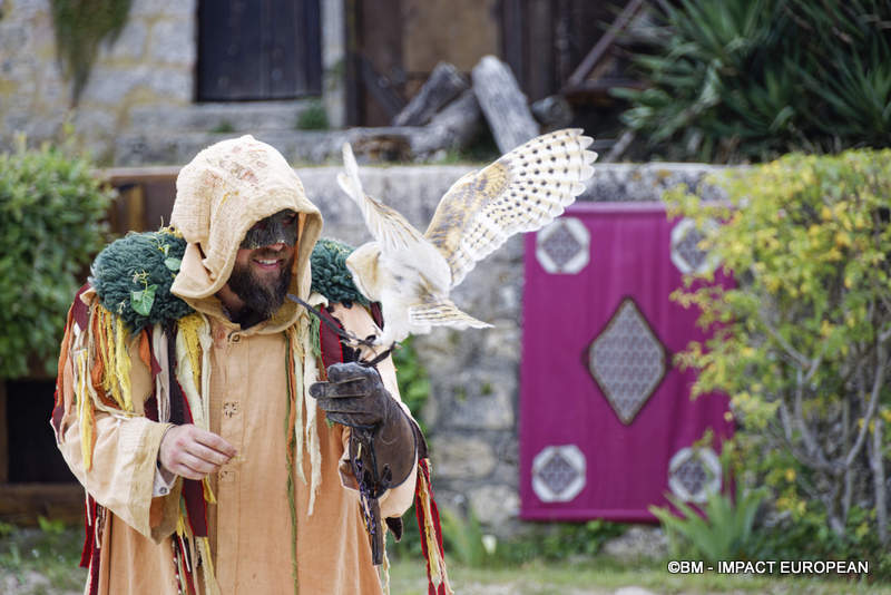Les Medievales de Provins 048