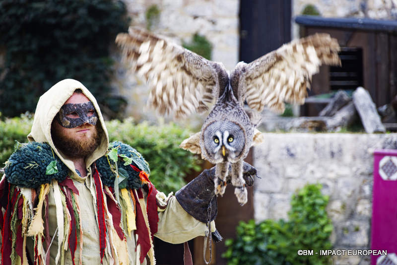 Les Medievales de Provins 049