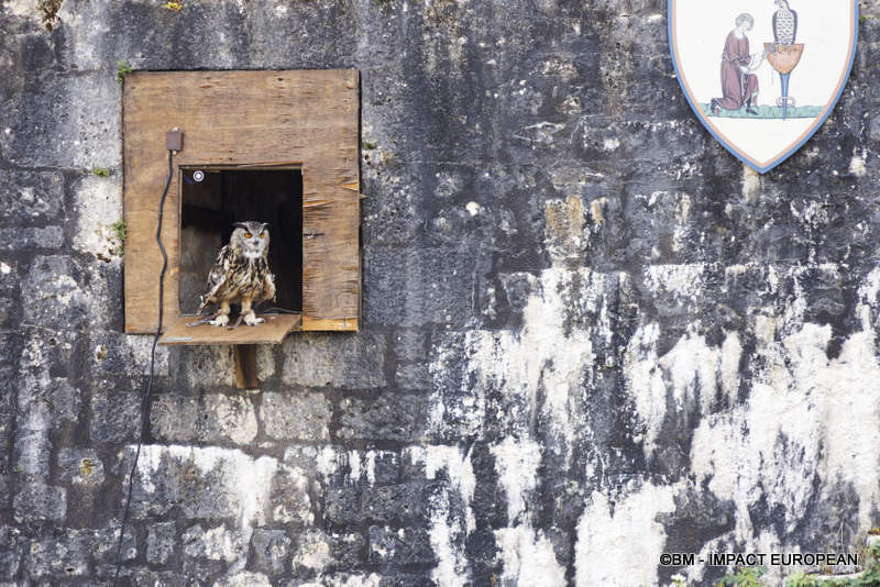 Les Medievales de Provins 050