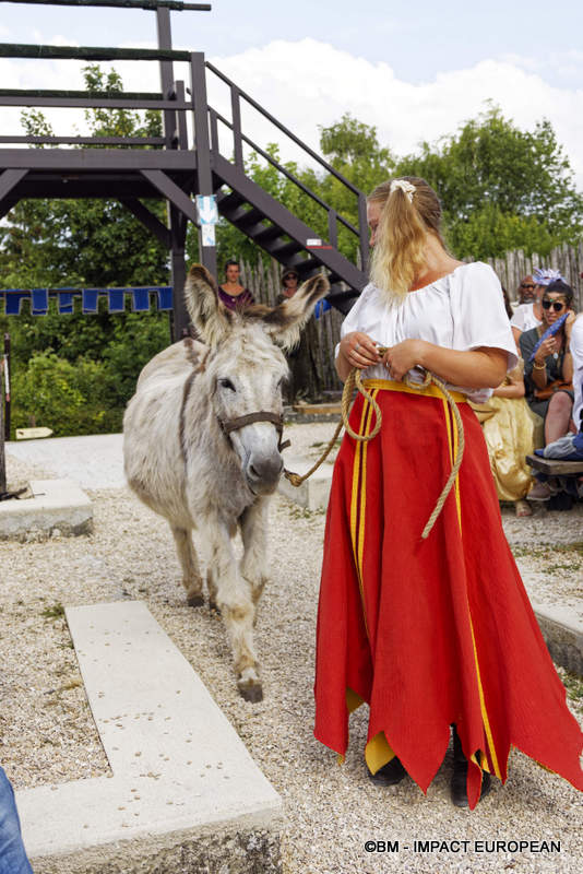 Les Medievales de Provins 058