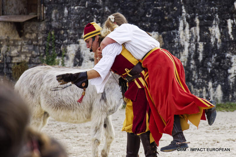 Les Medievales de Provins 060